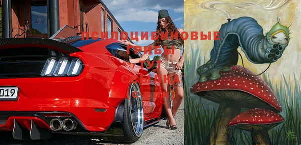 мет Гусиноозёрск