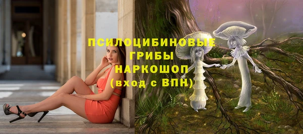 mix Гусь-Хрустальный