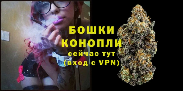 СК Дмитров